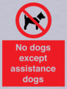no-dogs-except-assistance-dogs~